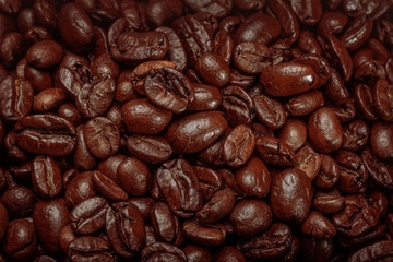 roasted coffee beans