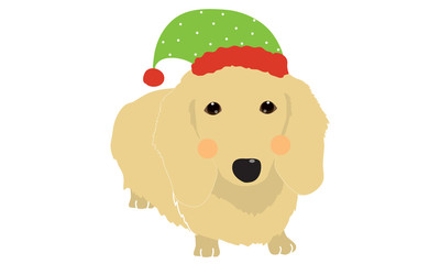 Cute dogs wearing Santa clause hat