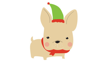 Fototapeta na wymiar Cute dogs wearing Santa clause hat