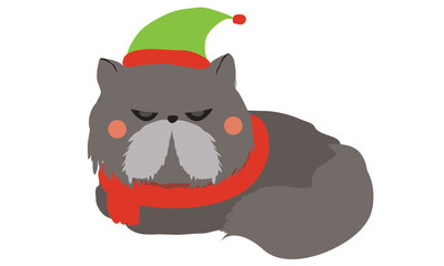 Cute cat wearing Santa clause hat