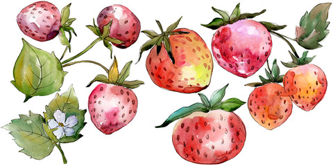 Strawberry healthy food. Watercolor background illustration set. Isolated berry illustration element.