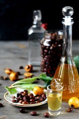 tincture alcoholic on bones loquat . Amaretto with almond flavor. recipe for medlar. Loquat seed liquor. alcoholic beverage from the  loquat. tincture on seed loquat. Liqueur nespolino