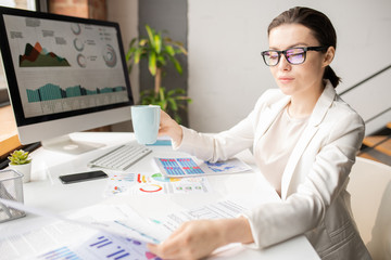 Elegant accountant