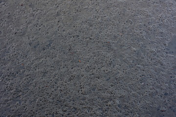 Soft fine muddy sea bottom exposed during low tide with holes created by expanding gases and burrowing animals.
