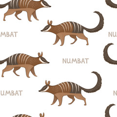 Vector seamless pattern with cartoon numbats. Colored seamless background with numbats.