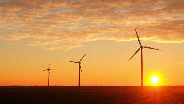 Wind Turbines Generating Green Energy at Sunset in Almere Pumpus, Netherlands