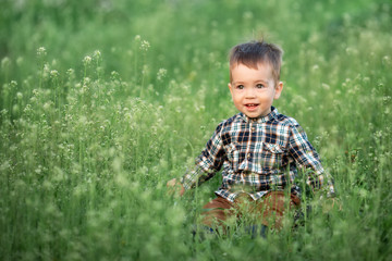 little boy sitting in the flowering meadow