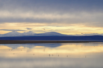 Meet sunrise on the lake. Atacama Desert / Altiplano, Chilean-Bolivian Border