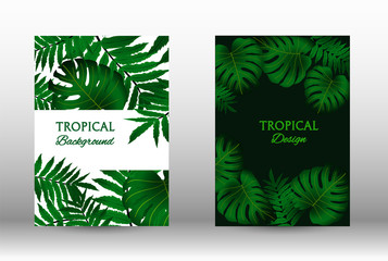A set of tropic