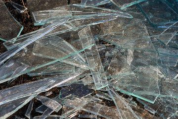 A pile of different sharp pieces of broken glass lying on the ground. Pieces of glass of different size and shape. Many pieces of oblong shape. The sharp edges glisten in the sunlight.