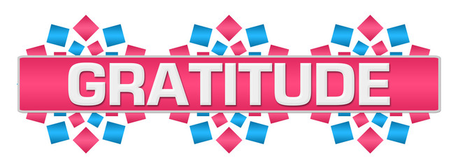 Gratitude Pink Blue Circular Blue Bar 