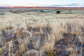 The dry and arid Karoo veld in the summertime, near Gariep dam, South Africa.