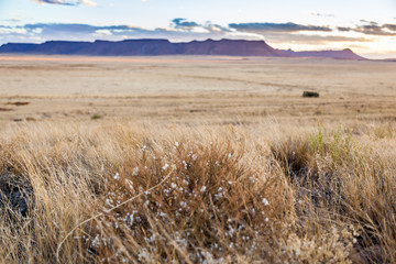 The dry and arid Karoo veld in the summertime, near Gariep dam, South Africa.