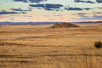 Fototapeta na wymiar The dry and arid Karoo veld in the summertime, near Gariep dam, South Africa.