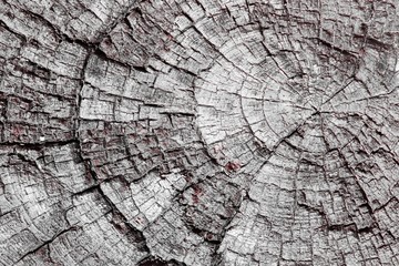 Fototapeta premium red natural desk texture - fantastic abstract photo background