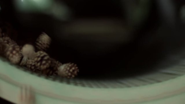 Cones closeup in centrifuge for obtaining seeds. Cones in machine for processing