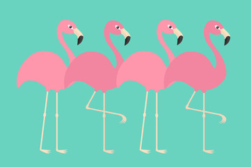 Pink flamingo set line. Exotic tropical bird. Zoo animal collection. Cute cartoon character. Decoration element. Flat design. Green background. Isolated.
