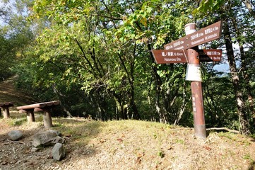 川苔山の道標