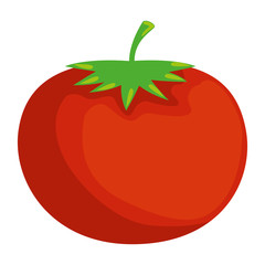 fresh tomato vegetable icon