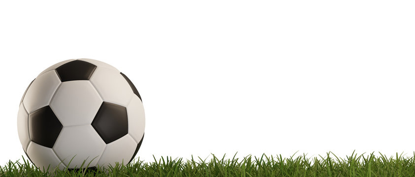 soccer ball green grass isolated 3d-illustration