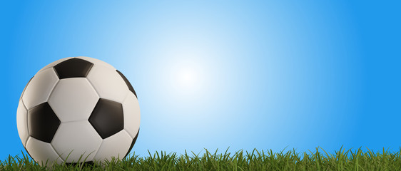 soccer ball green grass 3d-illustration