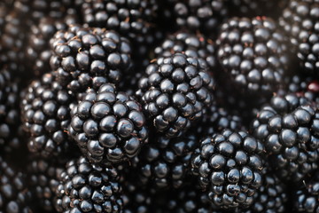 Background from fresh Blackberries, close up. Lot of ripe fruits and berries. 