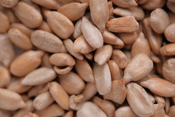 Close-up of sunflower seeds. Whole background.
