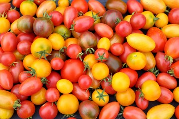 Tomatoes.