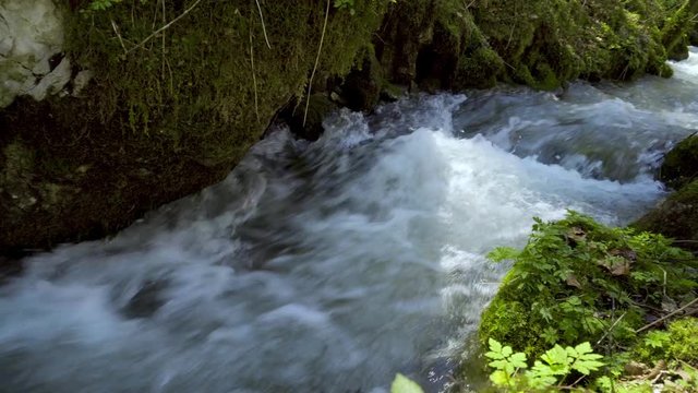 4k tracking shot of natural alpine mountain river creek in green forest woods background