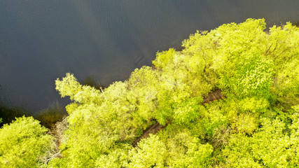 Seenlandschaft Schwielowsee - Haussee in Petzow - Glindower See