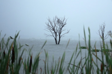 Global warming flood landscape