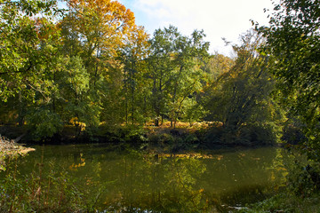 Fototapeta na wymiar Green forest and river. Forest Lake. The river flows among trees. Beautiful view of nature. Landscape photo of green forest. Forest nature on a sunny day. Beautiful nature of Germany.