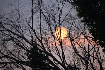 Obraz premium The sunset