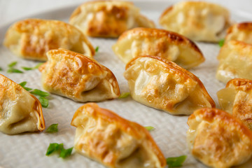 Homemade japanese gyoza on a plate, side view. Close-up.