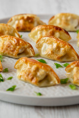 Homemade japanese gyoza on a plate, side view. Closeup.