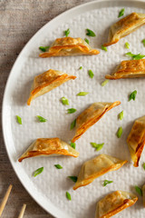 Homemade gyoza on a plate. Japanese food. Overhead, from above, flat lay. Close-up.