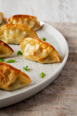 Homemade gyoza on a plate, side view. Closeup.