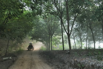 view of E-Tan Thai Tractors running with tourist in dusty road around with green forest background, travel tourism to Phu Huay Esan, Ban Muang, Sang Khom District, Nong Khai, Thailand.