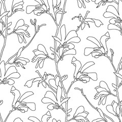 Seamless pattern with magnolia tree blossom. Floral background with branch and magnolia flower. Spring design with big floral outline elements. Hand drawn botanical illustration.