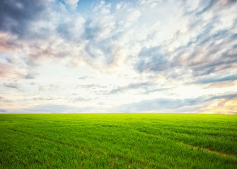 Beatiful morning field with bright sun
