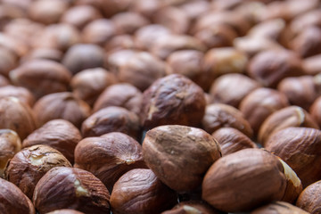 Hazelnut nuts close up. Healthy fitness super food.