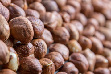 Hazelnut nuts close up. Healthy fitness super food.