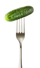 Cucumber whole green one on impaled on a fork isolated on white background with clipping path.
