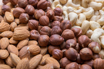Cashew, Hazelnut and Almond Set. Healthy food.