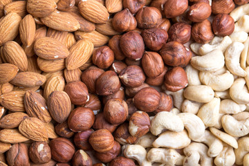 Cashew, Hazelnut and Almond Set. Healthy food.