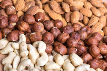 Cashew, Hazelnut and Almond Set. Healthy food.