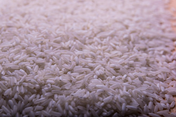 Rice seeds close-up