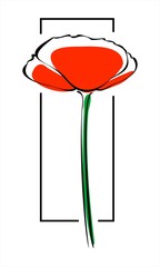 Vector poppy on a white background, outline, imitation of watercolor.