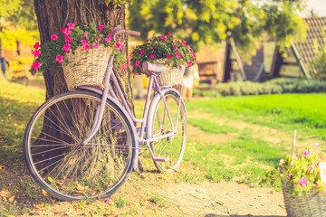 Fototapeta na wymiar Vintage bicycle with flowers on summer landscape background 