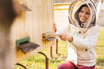 A young beekeeper girl is working with bees and inspecting bee hive after winter
